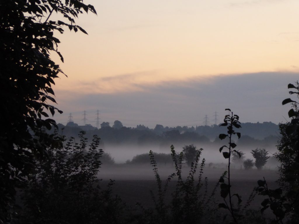 Guten Morgen Billwerder